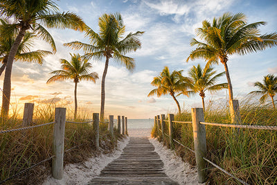 8 Must-Visit Florida Beaches