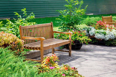 4 Ways to Make Your Backyard Beautiful