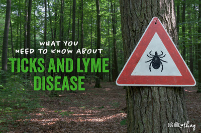 What You Need to Know About Ticks and Lyme Disease