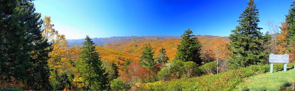 Best Ways to Experience the Blue Ridge Mountains – Bug Bite Thing