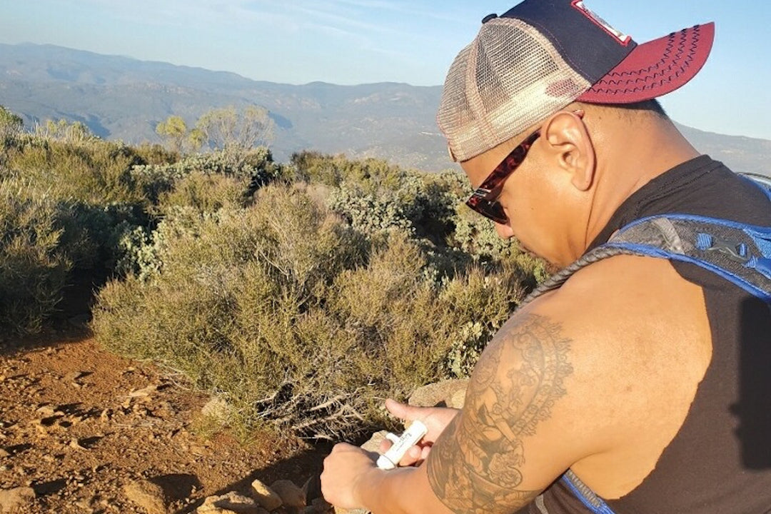 Does Bug Bite Thing Work? Hear Reviews from Real Users