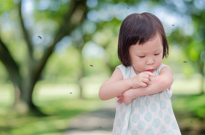 How to Protect Yourself from Bugs This Summer