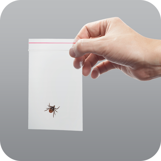 Tick Testing – Bug Bite Thing
