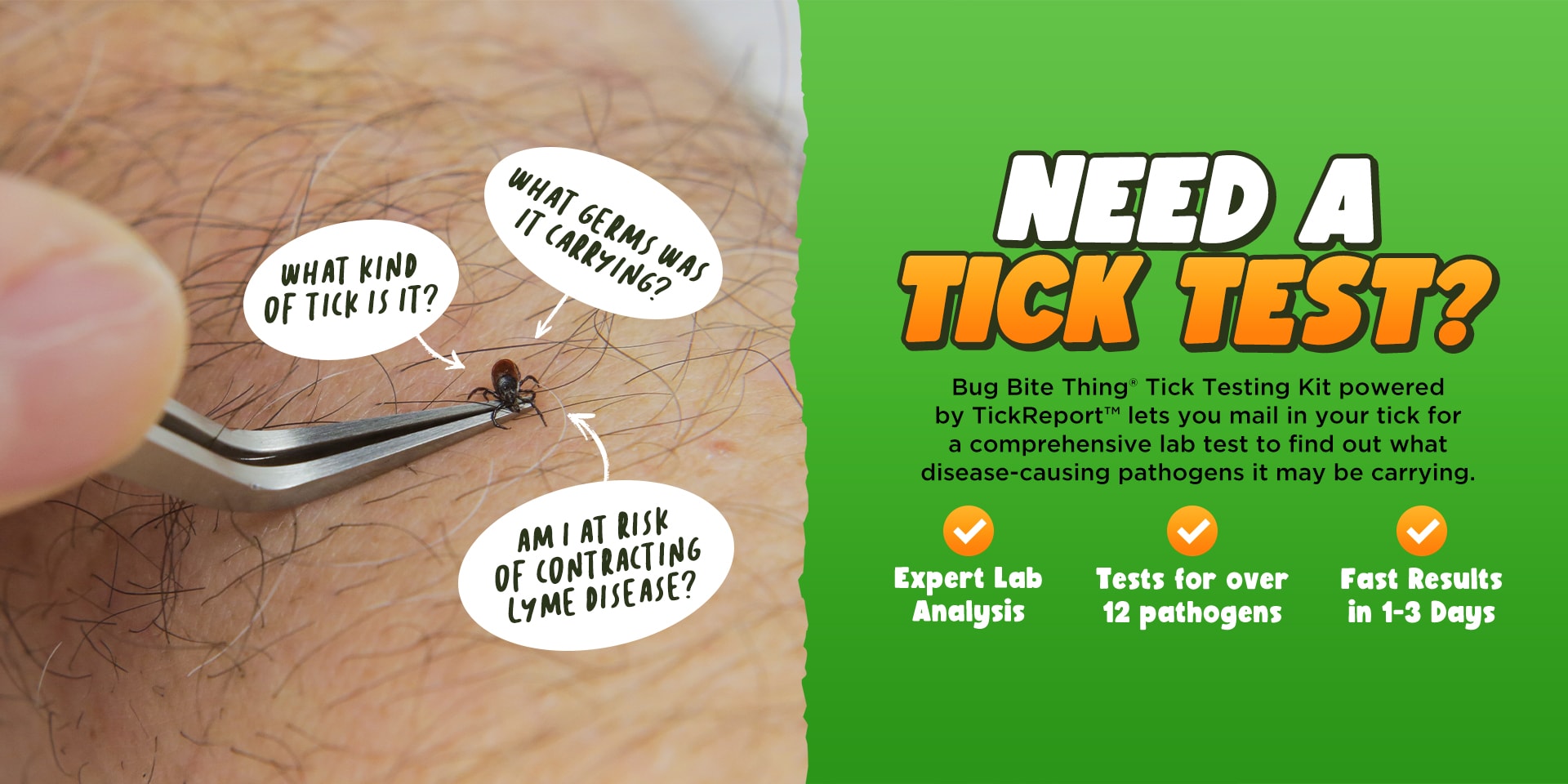 Tick Testing – Bug Bite Thing